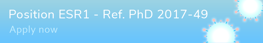 Apply for this position
