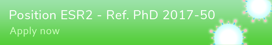 Apply for this position