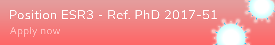 Apply for this position